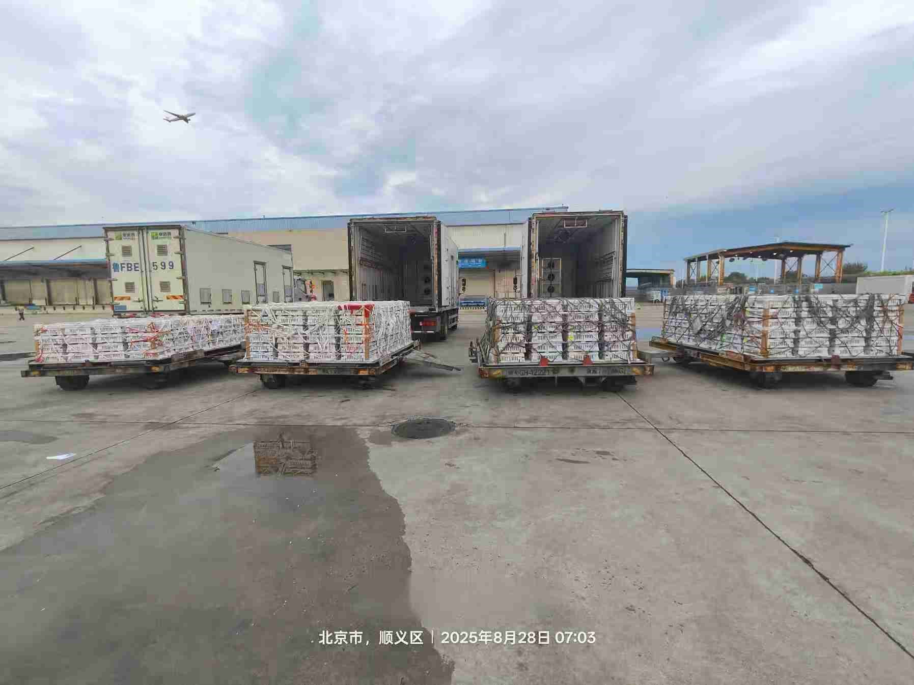 【引种】优德88股份年度引种突破16万套，市占率59%稳居行业龙头